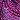 Plum Multi